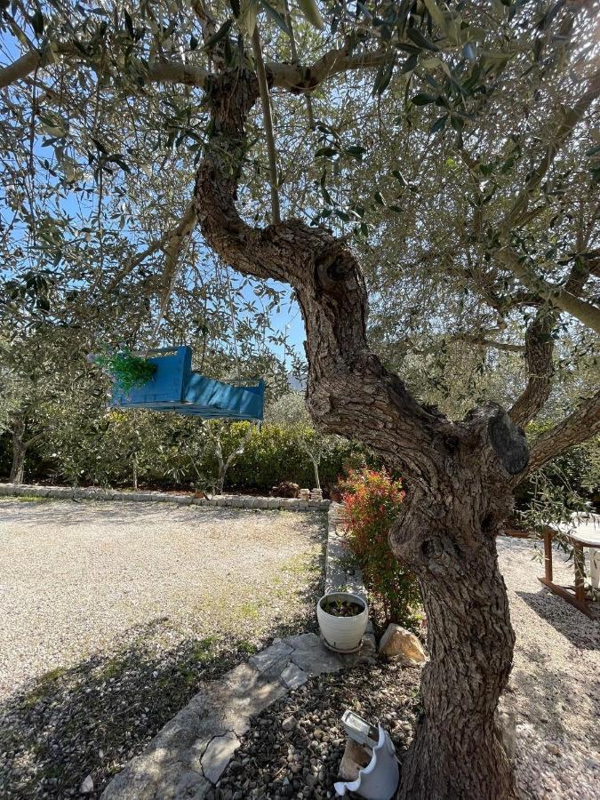 Villa Dama Cisternino Eksteriør billede